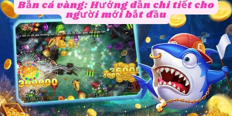 Chi tiết hướng dẫn cho người mới bắt đầu