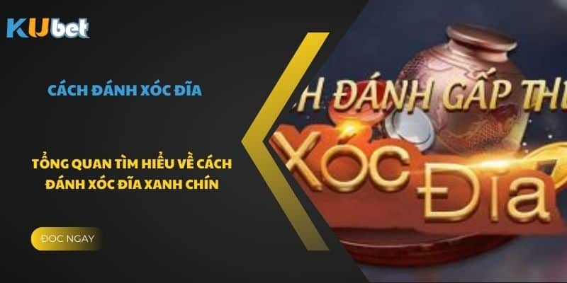 Tổng quan tìm hiểu về cách đánh xóc đĩa xanh chín