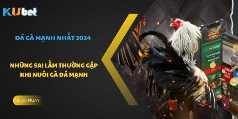 Những sai lầm thường gặp khi nuôi gà đá mạnh