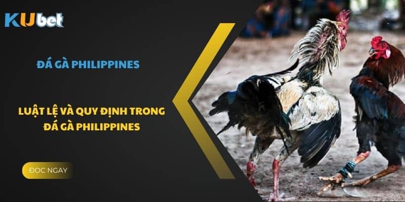 Luật lệ và quy định trong Đá Gà Philippines