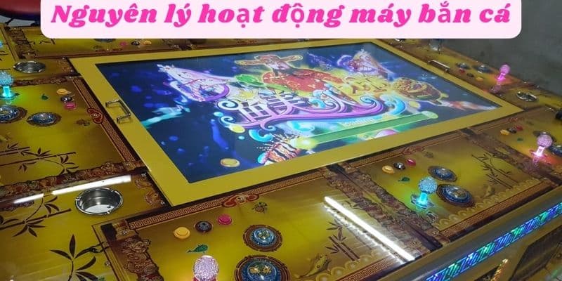 Nguyên lý hoạt động máy bắn cá